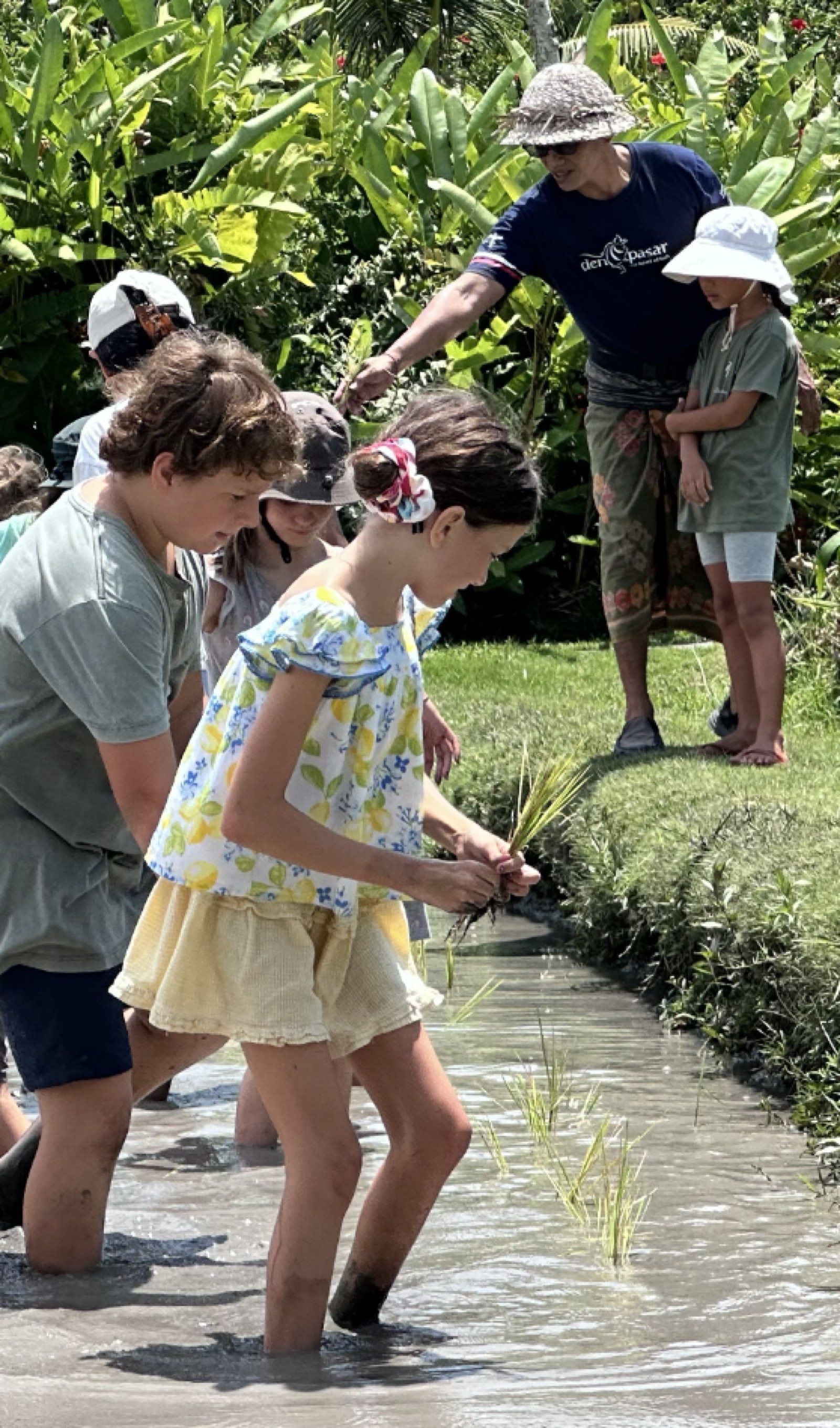 A student engaging in outdoor, nature-based learning near a rice field