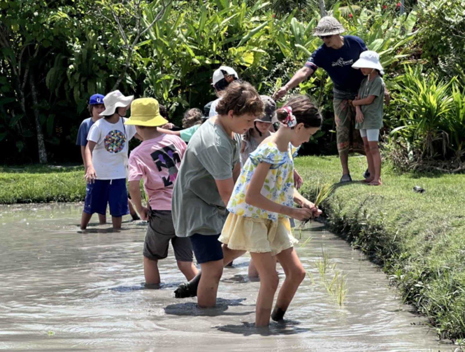 Students planting rice in a paddy field near Uluwatu as part of a real-world sustainability project